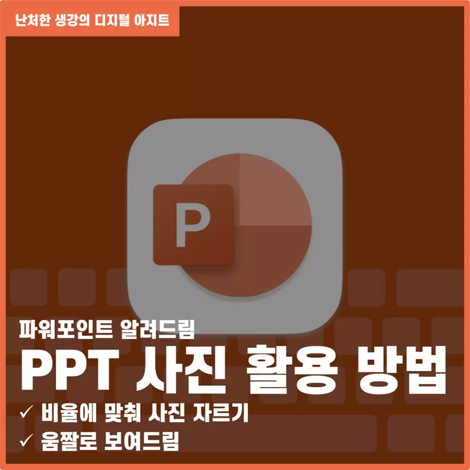 PPT 사진 활용 방법 비율에 맞춰 사진 자르기 썸네일