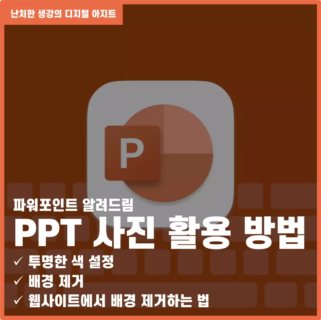 사진 배경 제거 투명한 색 설정, 배경 제거 썸네일