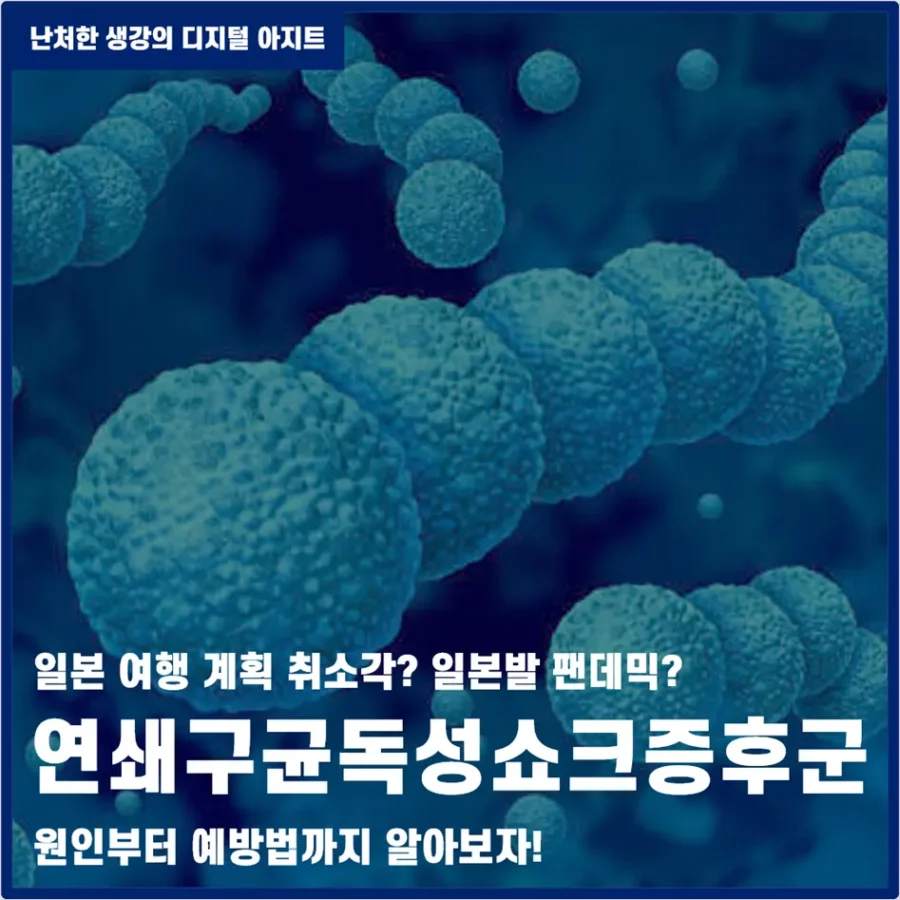 연쇄구균독성쇼크증후군 썸네일